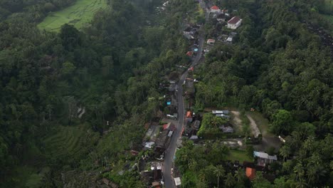 Isolated-road-near-Ubud-in-Bali-just-after-sunrise,-aerial