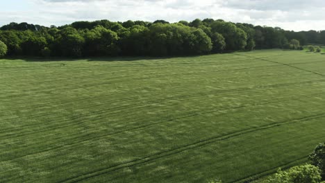 fuerte viento soplando a través de campos de cultivo verdes en el campo de yorkshire desde la vista de drones