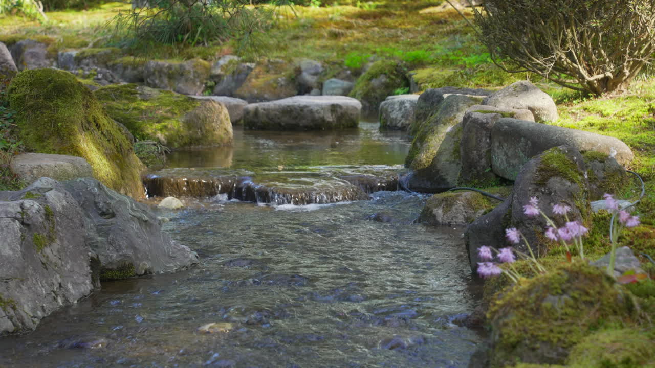 toma de un arroyo suave y poco profundo que fluye sobre las rocas en el jardín kenrokuen en kanazawa, japón durante la primavera