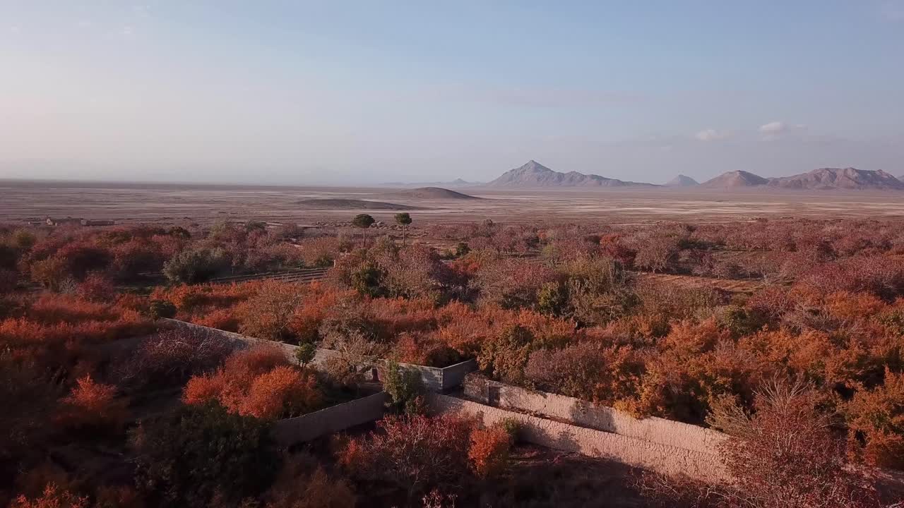 Mountain desert landscape of pomegranate garden in Iran aqda sarv ardakan yazd farmer market in middle east hazy day in autumn harvest picking season agriculture traditional life of local people