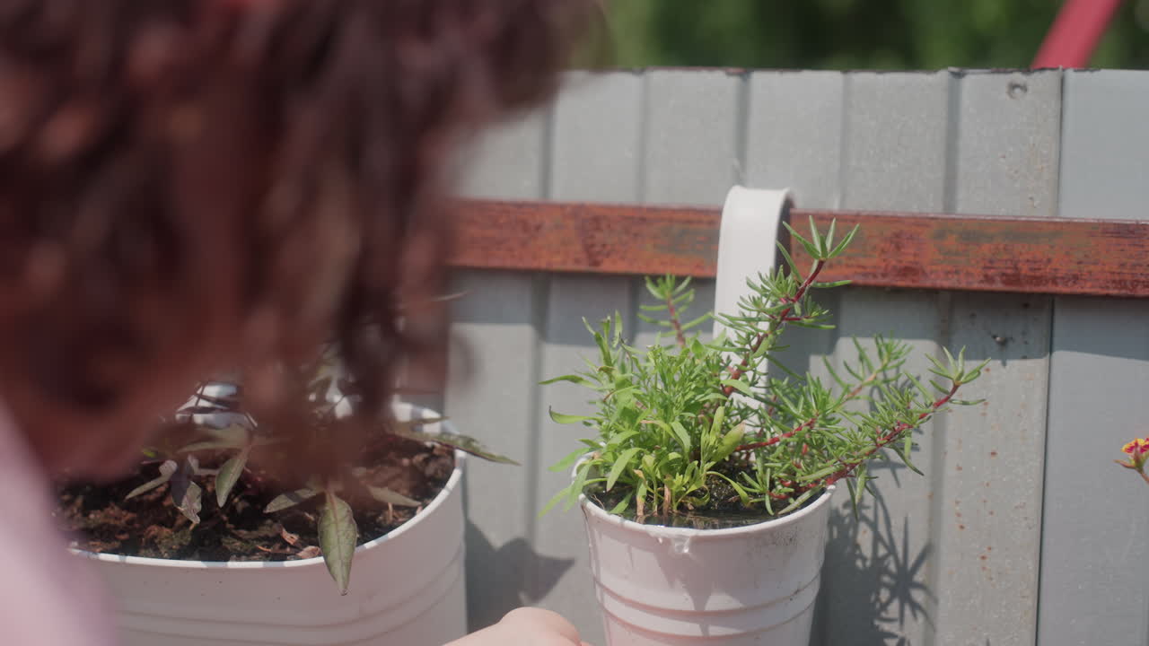 Closeup Potted Plant Near Wooden Fence, Careful Hands And Textured Leaves In Soft Sunlight Intimate Gardening Detail Highlighting Soil, Pot Edges And Small Green Growth In Serene Patio Setting