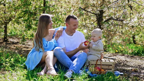 caucasian parents with their infant baby are in the spring garden. cute blond toddler boy sits on the wooden crate with an apple in hands. dad shows how he takes a bite from a fruit.