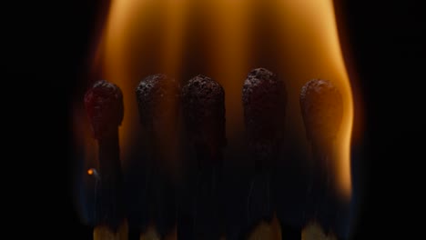 cerca de cinco cabezas de cerillas ardiendo sobre un fondo negro. fuego de cerillas encendidas y apagadas a cámara lenta. cinco cerillas quemadas negras. vista macro.