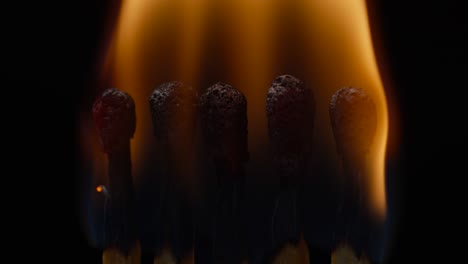 close up of five matches heads burning on black background. fire of matches lighted and putted out in slow motion. five black burnt matches. macro view.