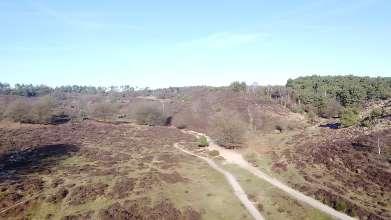 toma aérea de drones del parque nacional big forest desde arriba