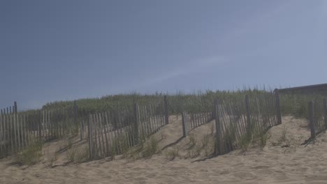 obx dune grass blue sky 3