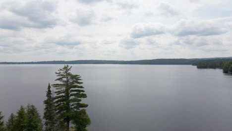 aerial shot flying over calabogie lake over boat dock and forest coastline. ontario canada