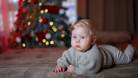calm caucasian blond boy in warm grey sweater. kid lies on the belly looking around. christmas tree at backdrop in blur.
