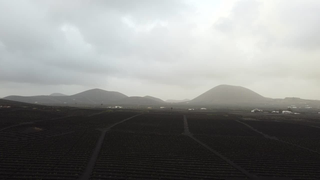 Drone flying over vineyard growing in black volcanic soil in Lanzarote