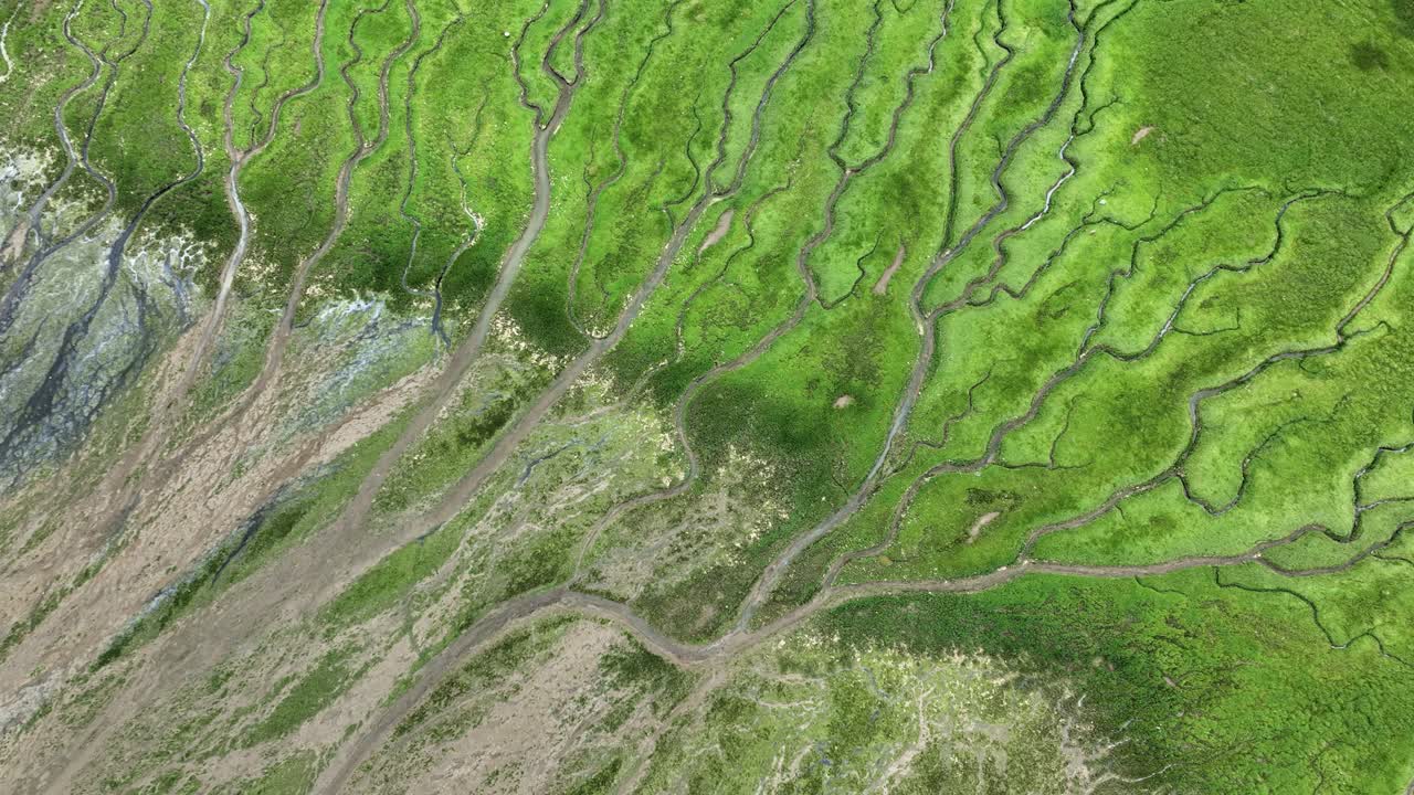 взгляд с воздуха на сложные приливные равнины