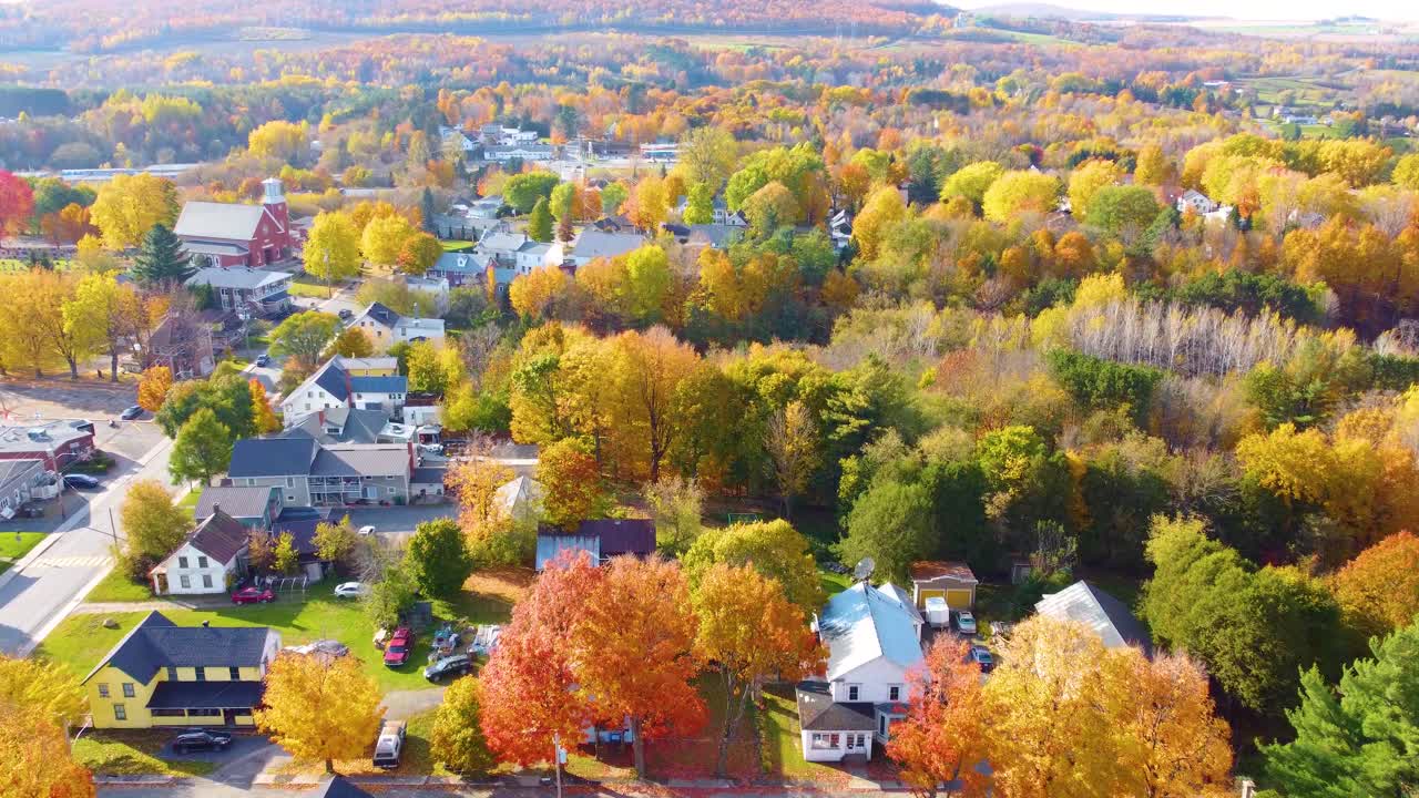 Rich area neighbourhood Canada Ontario autumn fall season color tree, expensive city houses, aerial
