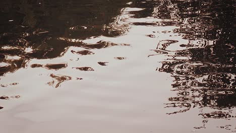 río y reflexión día de la puesta del sol