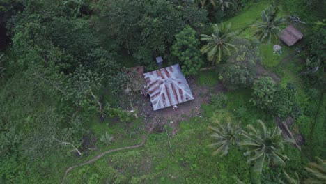 small local house surround by palm trees at sumba island indonesia, aerial