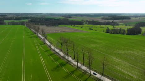 Auto-Auf-Einer-Landstraße,-Umgeben-Von-Grünen-Feldern-An-Einem-Sonnigen-Frühlingstag