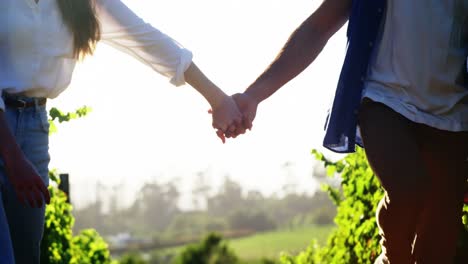 Couple-holding-hands-while-walking-at-a-vineyard
