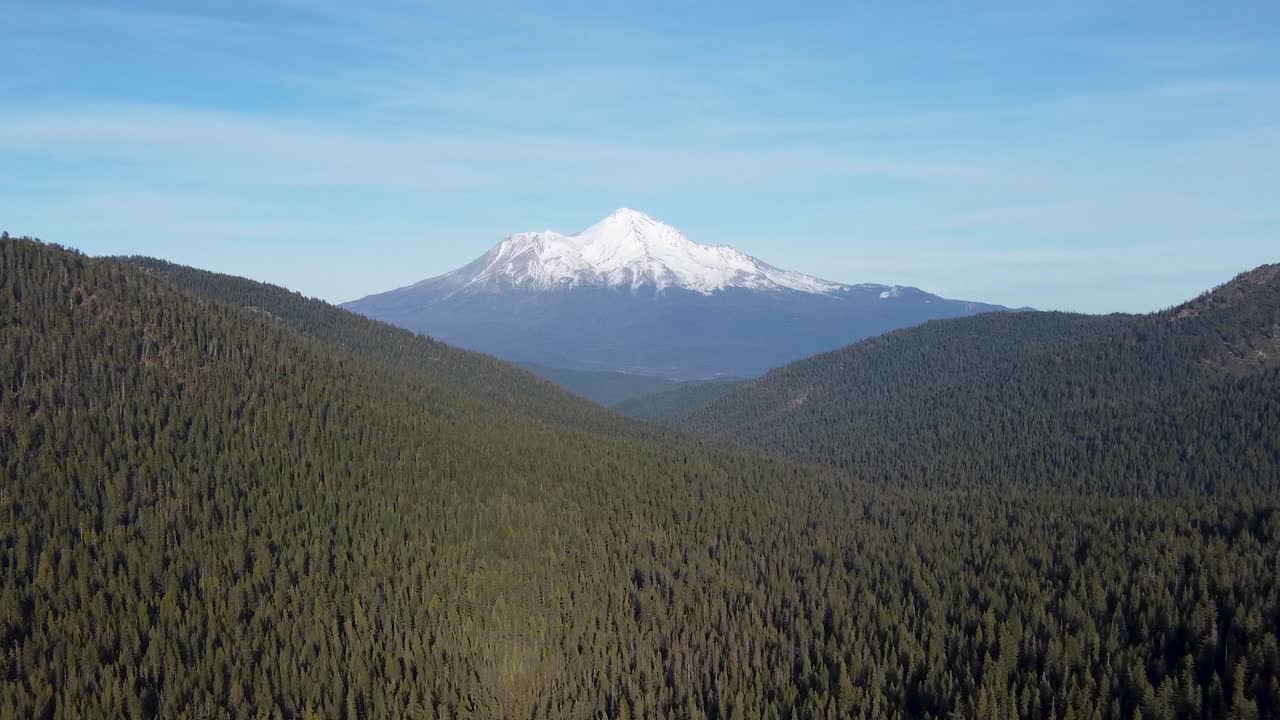 Aerial: Mount Shasta rising above forest