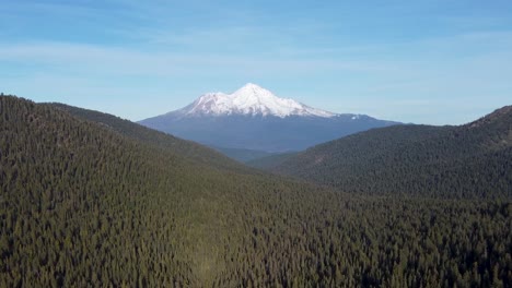 aerial: mount shasta rising above forest