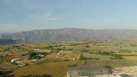 Aerial-View-of-Blue-Agave-Farm-Fields,-Picturesque-Mountain-Landscape-Background