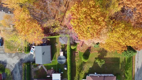 Golden-Autumn-Trees-On-Landscaped-Garden-In-Montreal,-Canada