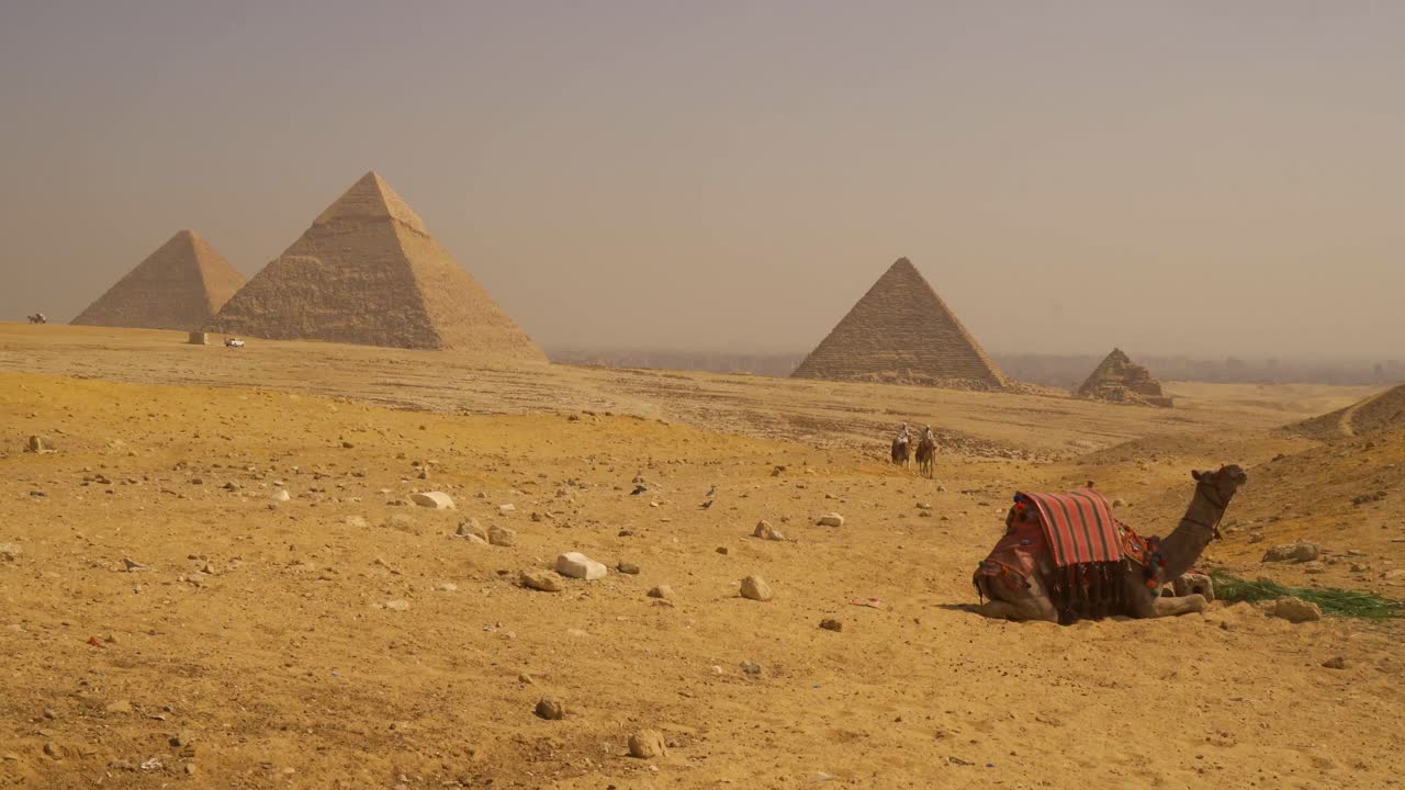 Le grandi piramidi di Giza con i cammelli