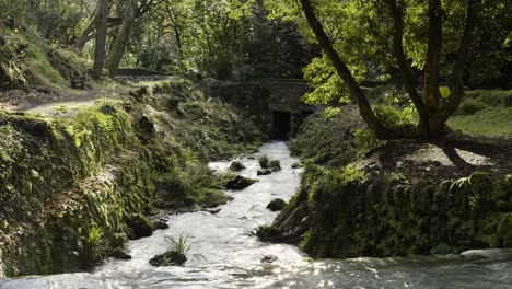 Panorama-Eines-Schmalen-Baches,-Der-Im-Sommer-In-St