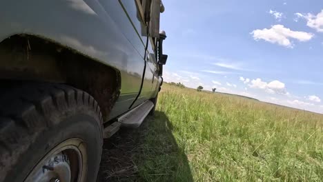 Low-angle-view-safari-truck-wheel-driving-on-dirt-road-with-grass