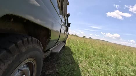 low angle view safari truck wheel driving on dirt road with grass