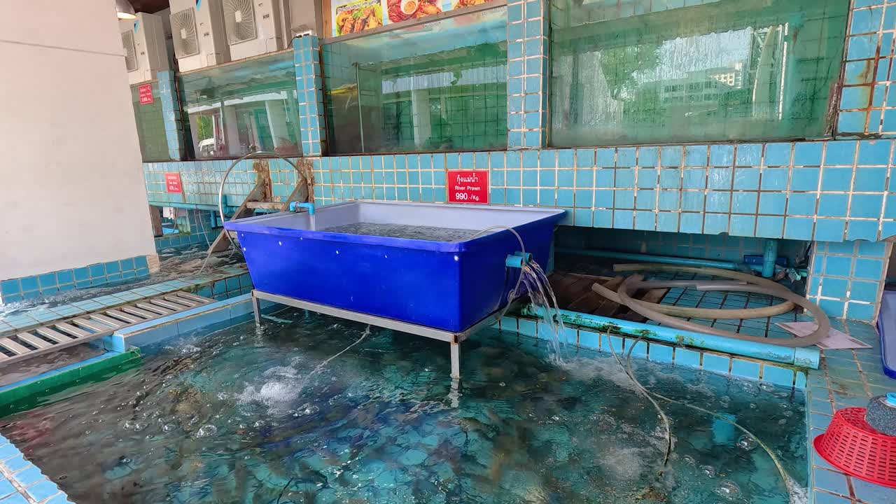 Blue tank setup in tiled restaurant area with water hoses and aquatic elements. Bright lighting and static camera capture