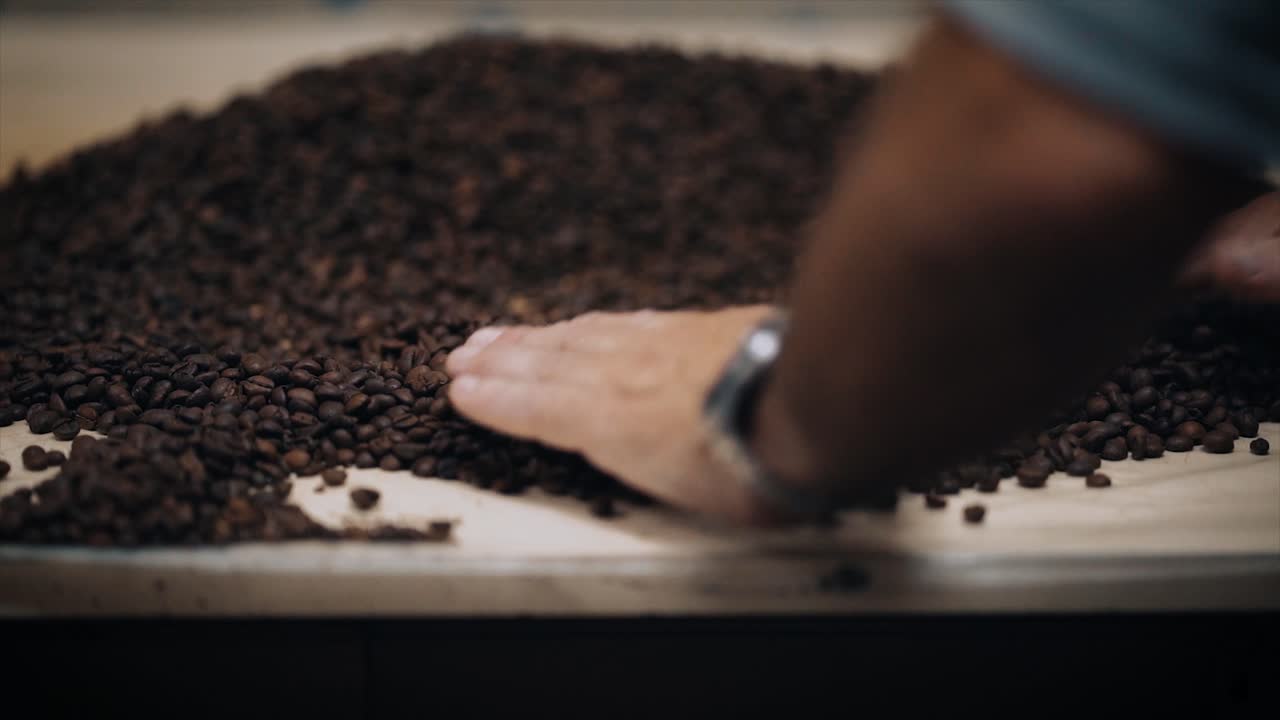 Coffee Roasting Process - Hand choosing roasted coffee beans.