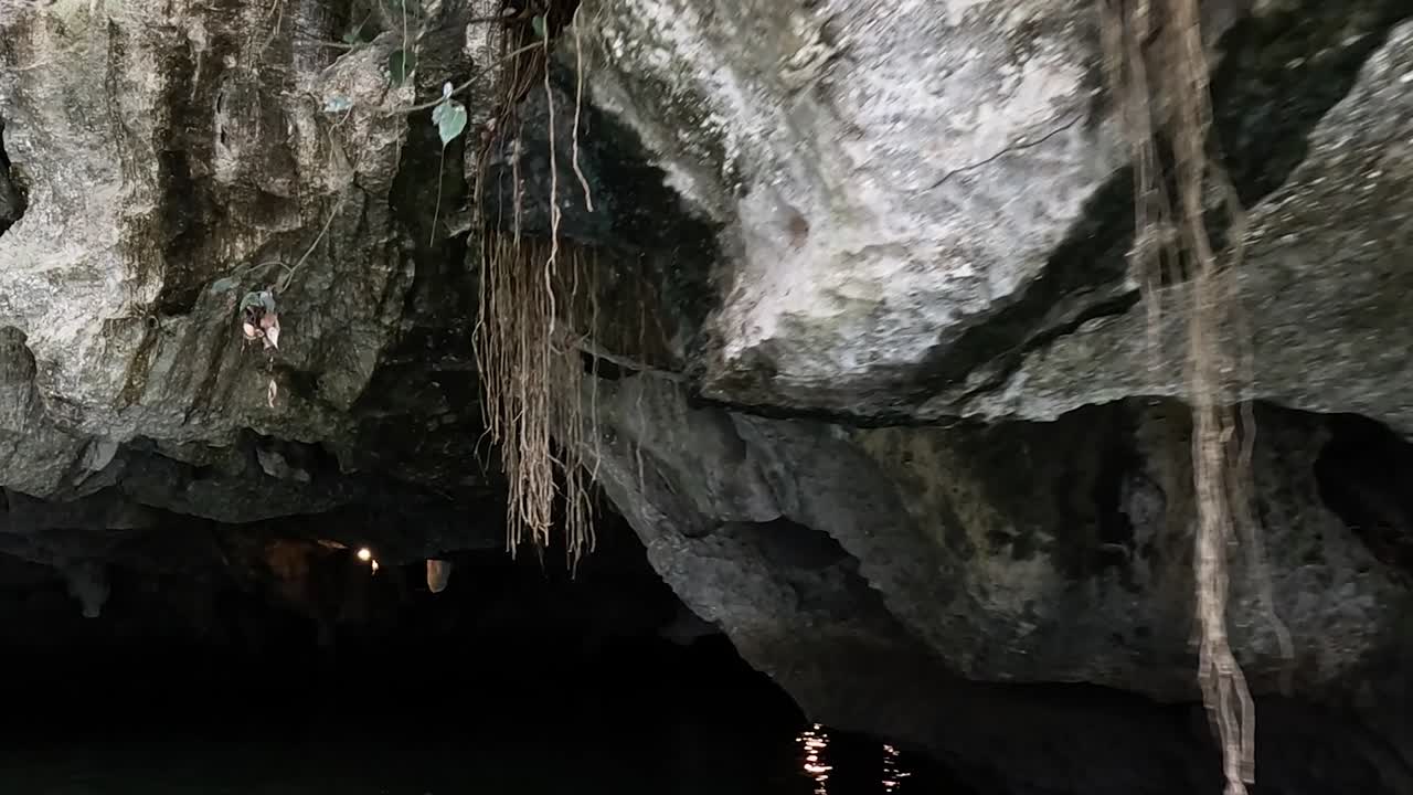 A journey through a dimly lit cave with hanging vines and rugged rock formations.