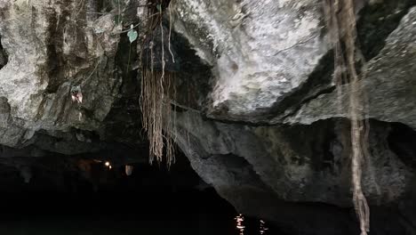 a journey through a dimly lit cave with hanging vines and rugged rock formations.