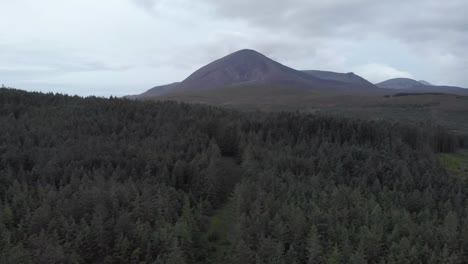Tiro-De-Drone-De-Un-Denso-Bosque-De-Pinos-En-La-Isla-De-Skye-Escocia