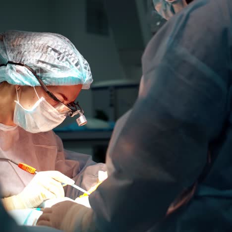 doctor of plastic surgery in the operating room. abdominoplasty of the abdomen. body correction