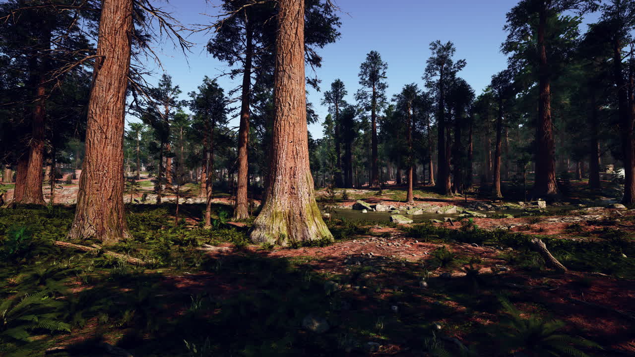 아름다운 나무 숲