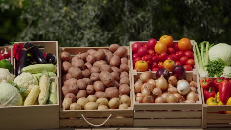 a stall with various vegetables at a farmers' market. pan shot