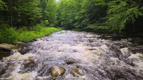 drone footage above a rapidly moving woodland