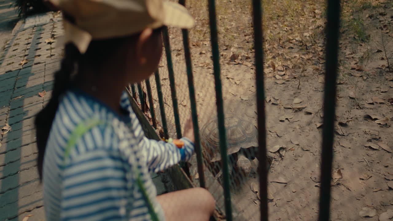 Child Observing a Turtle at the Zoo
