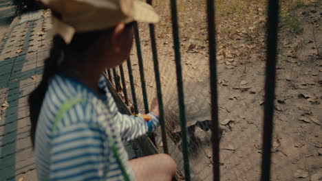 child observing a turtle at the zoo