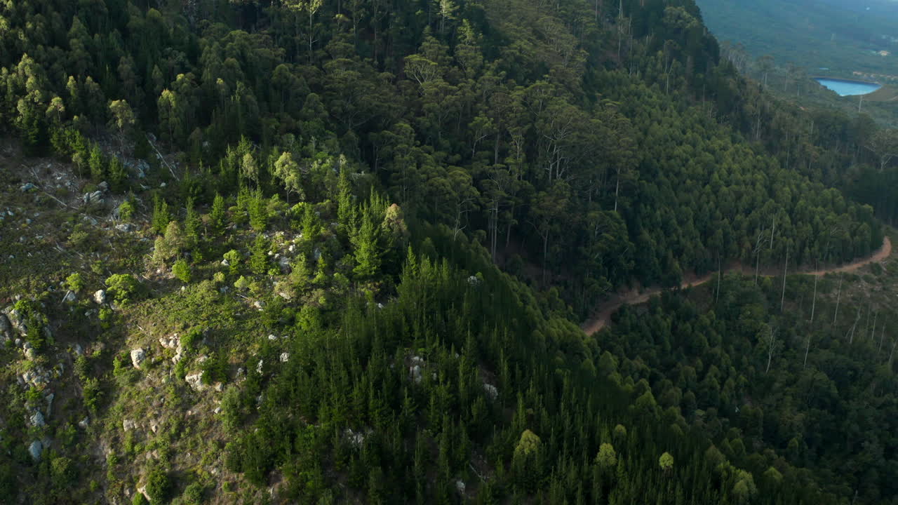 antena: parque nacional de constantia nek ciudad del cabo