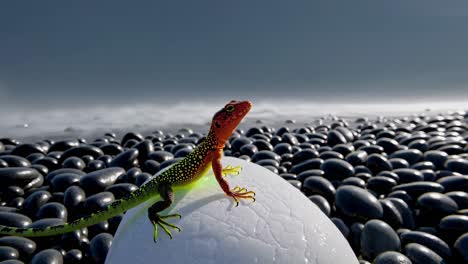 lizard on a beach