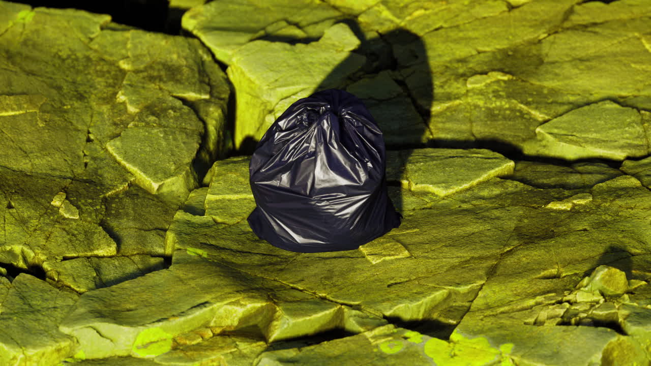 A black bag contrasts beautifully with a vibrant green surface