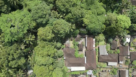 Vista-Aérea-De-Drones-De-La-Plantación-Indonesia-En-Gianyar,-Bali