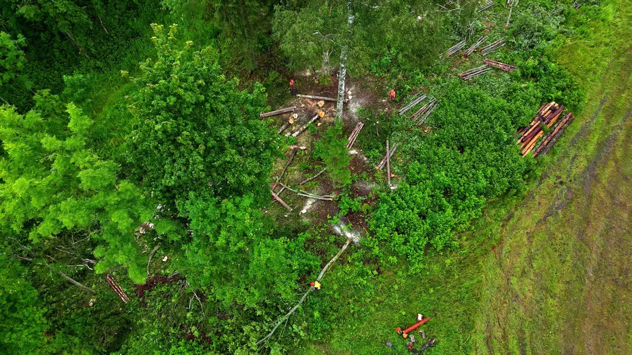 Drone view of deforestation area with felled trees and workers clearing green forest near rural road