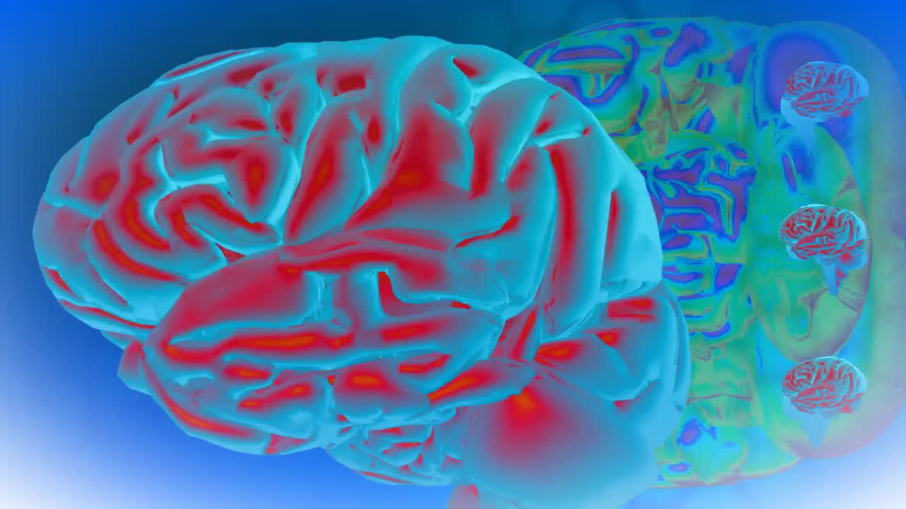 3d 애니메이션 뇌