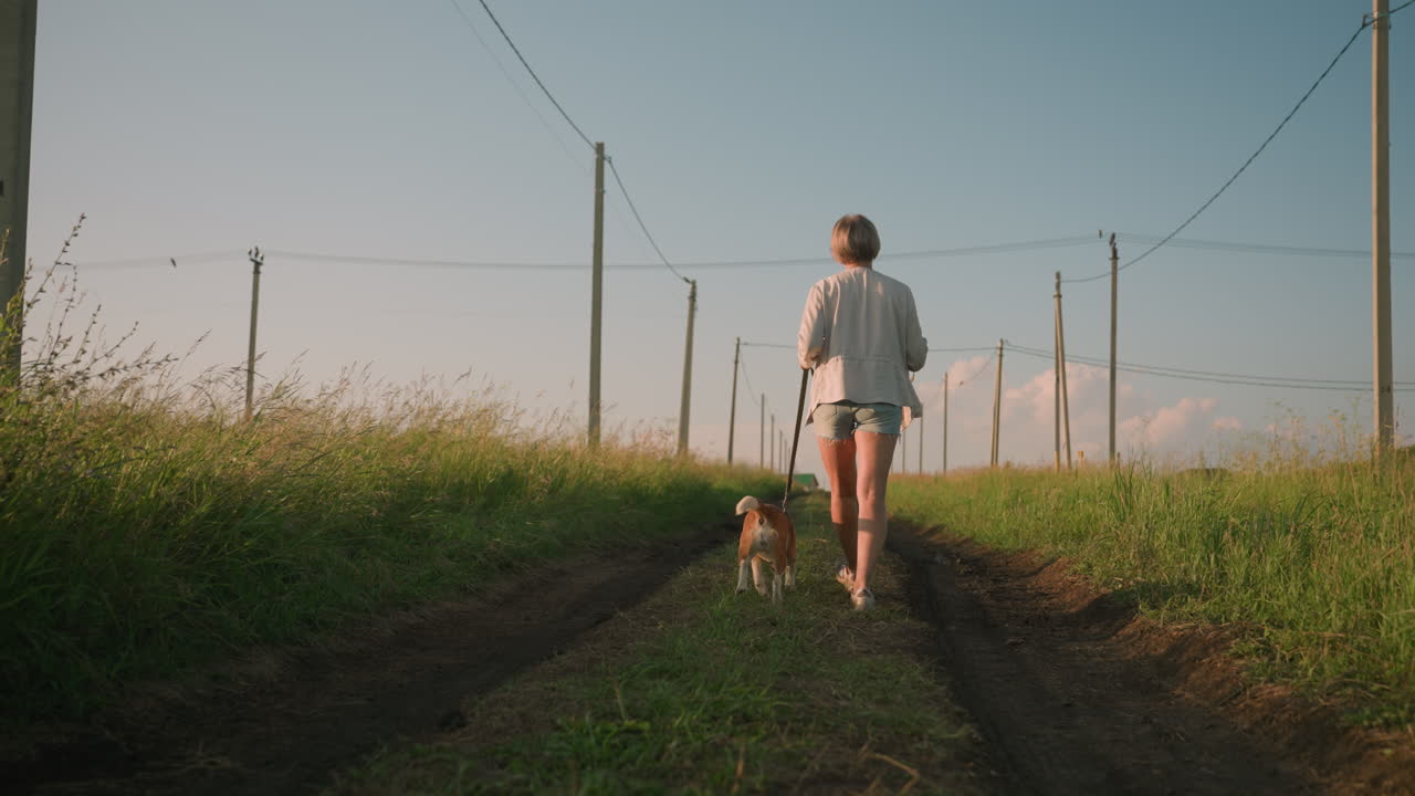 두 사람 모두 밝은 빛 아래 잔디로 된 시골 을 고 있는 동안 전기 기둥으로 인 길에서 개와 함께 는 여자의 뒷면