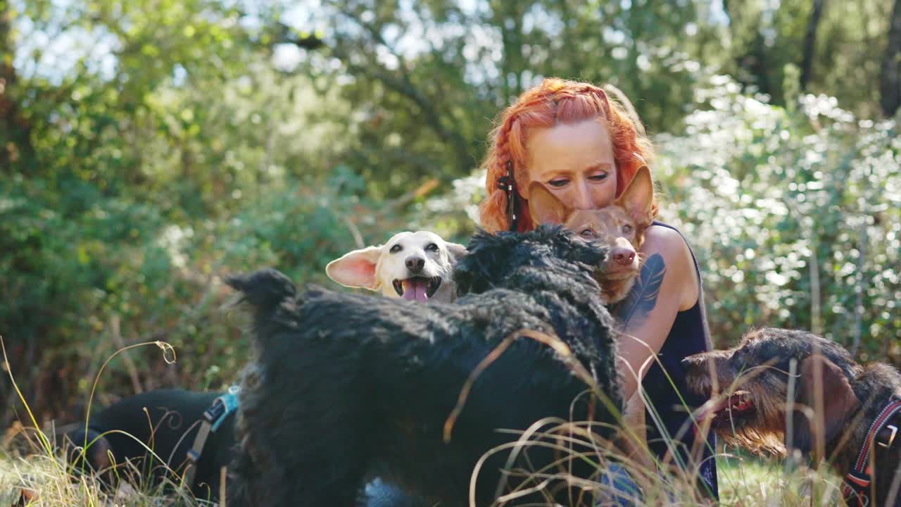 A woman playing with multiple dogs in a natural outdoor setting