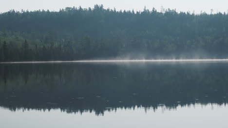 misty tree line reflections on a quiet calm lake in the wilderness
