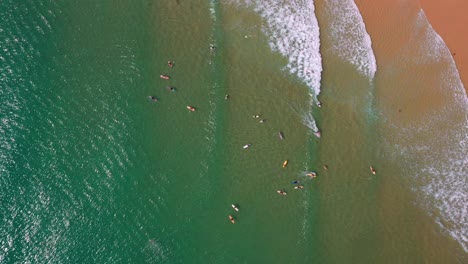 Tourist-With-Surfing-Boards-On-Tropical-Beach-Of-Noosa-National-Park-Near-Noosa-Heads-In-QLD,-Australia