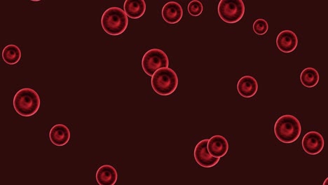 animation of red blood cells moving on dark background