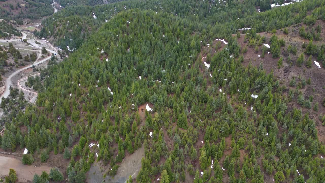 vista de la selva, el avión no tripulado vuela sobre un paisaje de densas montañas cubiertas de bosques verdes, vista aérea de exuberantes montañas de bosque verde, vista de la jungla